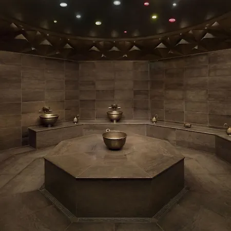 호텔 Hyatt Centric Levent