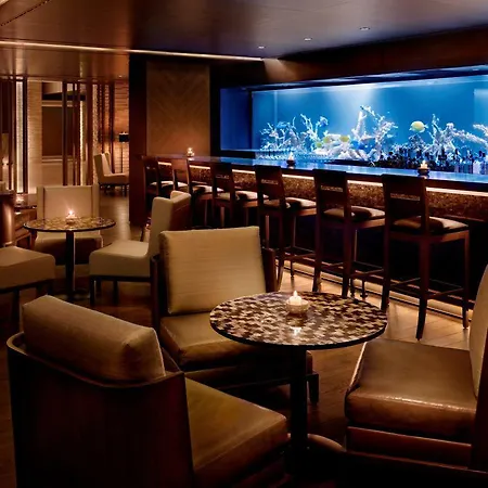 伊斯坦布尔莱文特凯悦酒店 5*