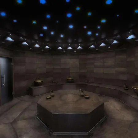 伊斯坦布尔莱文特凯悦酒店 酒店 伊斯坦布尔