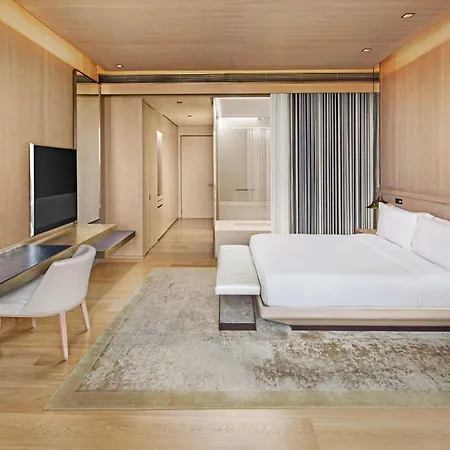 伊斯坦布尔莱文特凯悦酒店 酒店 伊斯坦布尔