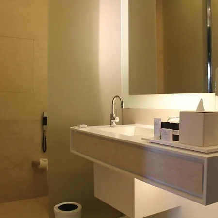 伊斯坦布尔莱文特凯悦酒店 酒店 5*