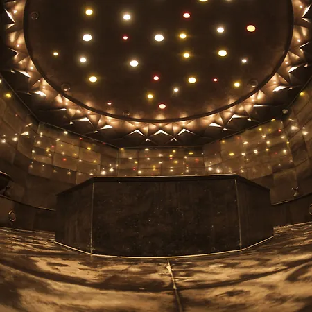 酒店 伊斯坦布尔莱文特凯悦酒店 5*