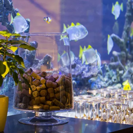 酒店 伊斯坦布尔莱文特凯悦酒店